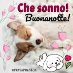 Buonanotte Con Cani Fantafrasi It