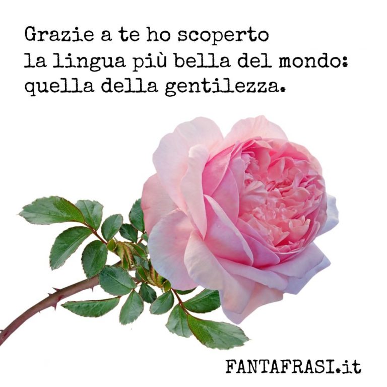 Frasi Di RINGRAZIAMENTO Con Cartoline Illustrate | Fantafrasi.it