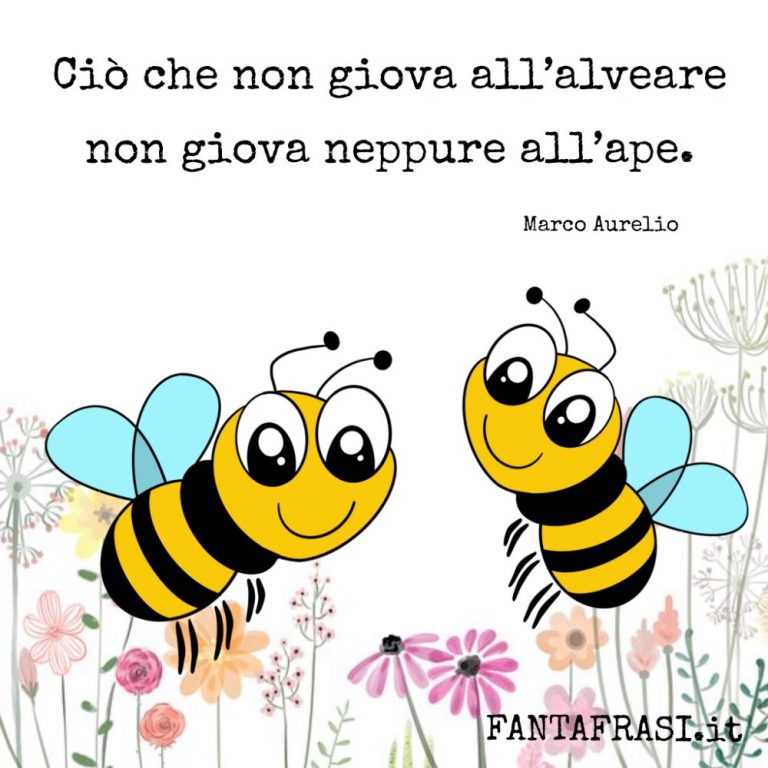 Frasi sulle Api | FANTAFRASI.it