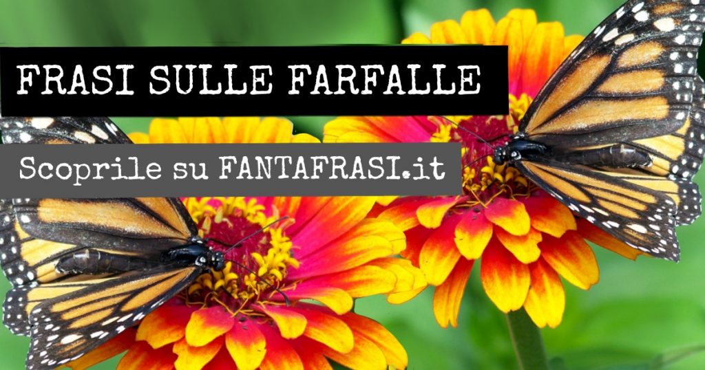 Frasi Sulle Farfalle E La Vita Frasi sulle FARFALLE: aforismi e citazioni (con immagini) | fantafrasi.it