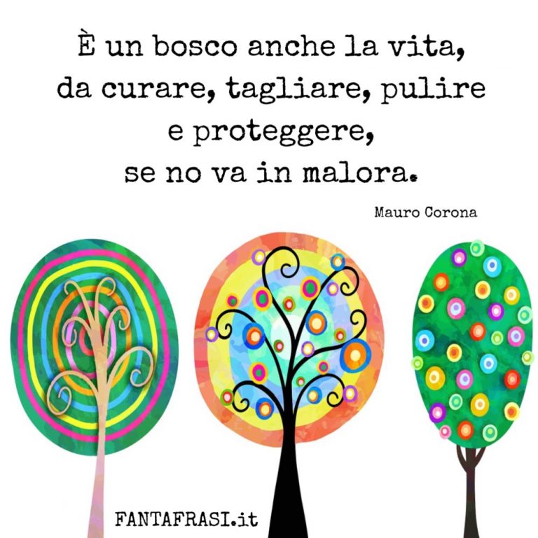 Frasi Sul Bosco | FANTAFRASI.it