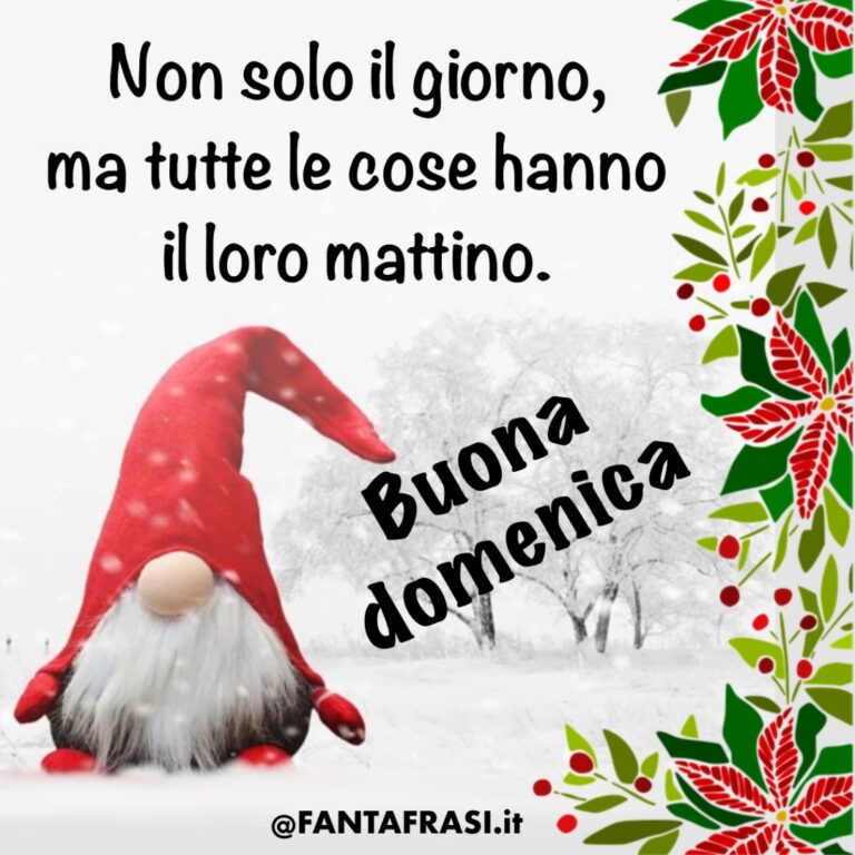 Buona Domenica Invernale Immagini E Frasi Fantafrasi It