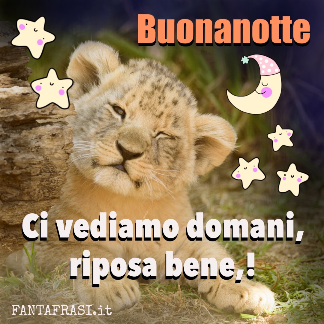 Buonanotte Con Cani FANTAFRASI it Buonanotte Con Cani FANTAFRASI it